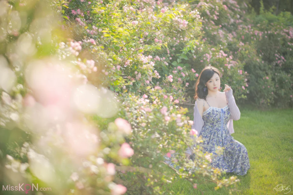 Coser@皮皮奶可可爱了啦: 蔷薇花 (36 photos)