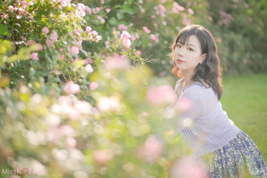 Coser@皮皮奶可可爱了啦: 蔷薇花 (36 photos)