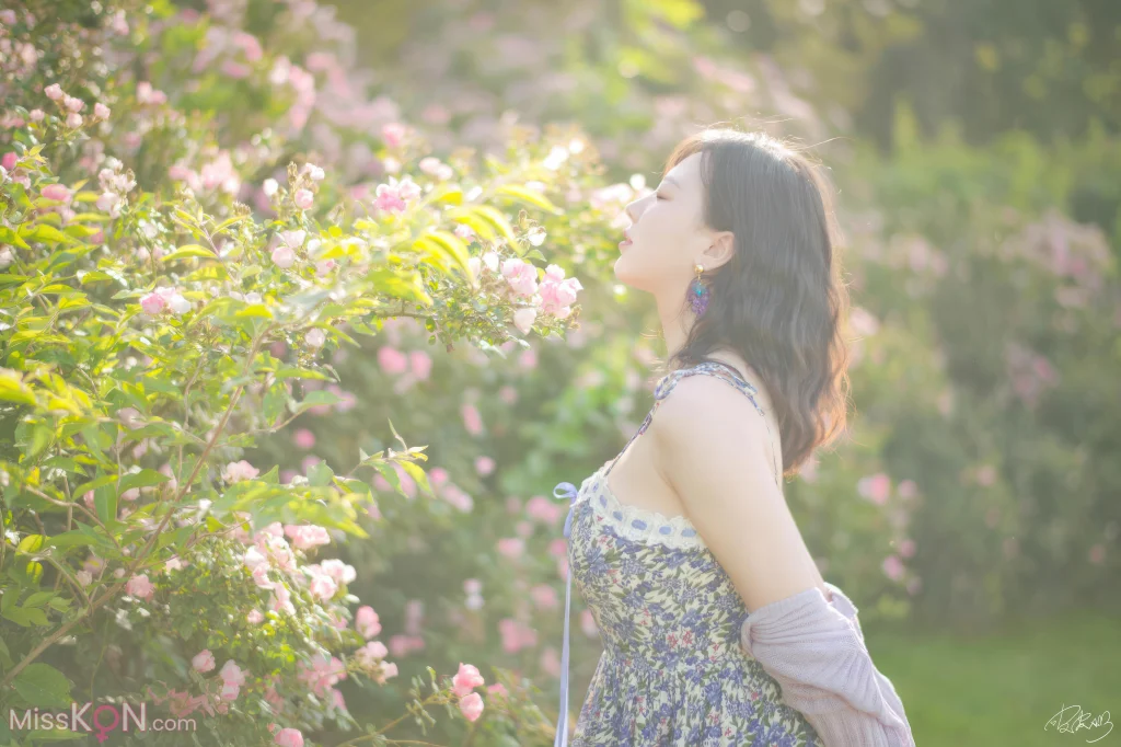 Coser@皮皮奶可可爱了啦: 蔷薇花 (36 photos)