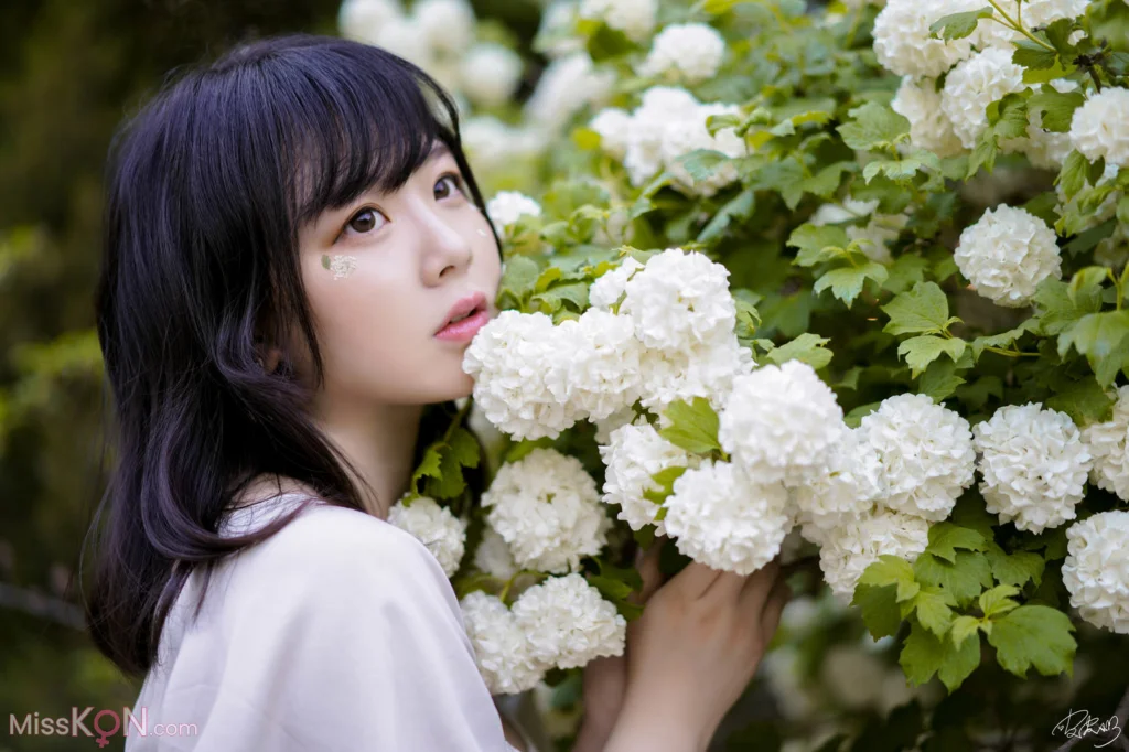 Coser@皮皮奶可可爱了啦: 绣球花 (36 photos)