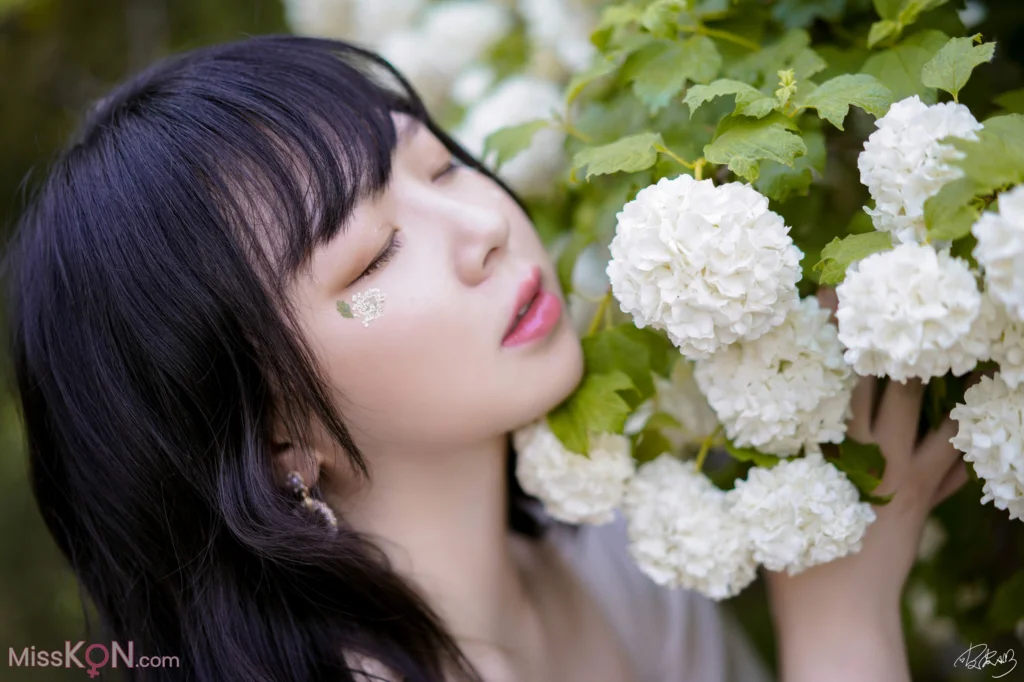 Coser@皮皮奶可可爱了啦: 绣球花 (36 photos)
