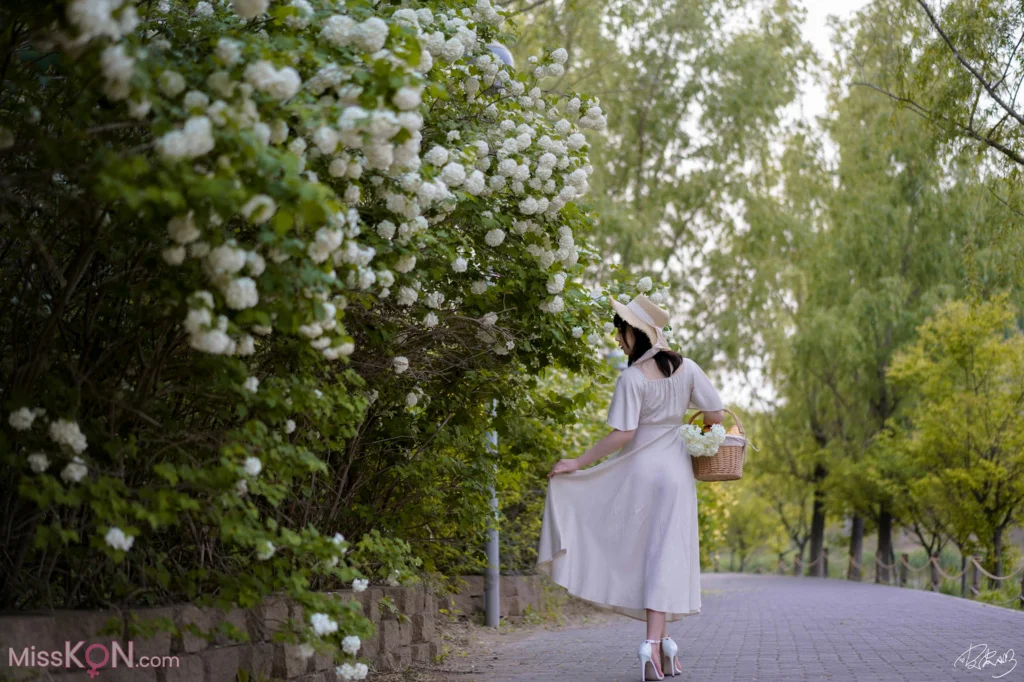 Coser@皮皮奶可可爱了啦: 绣球花 (36 photos)