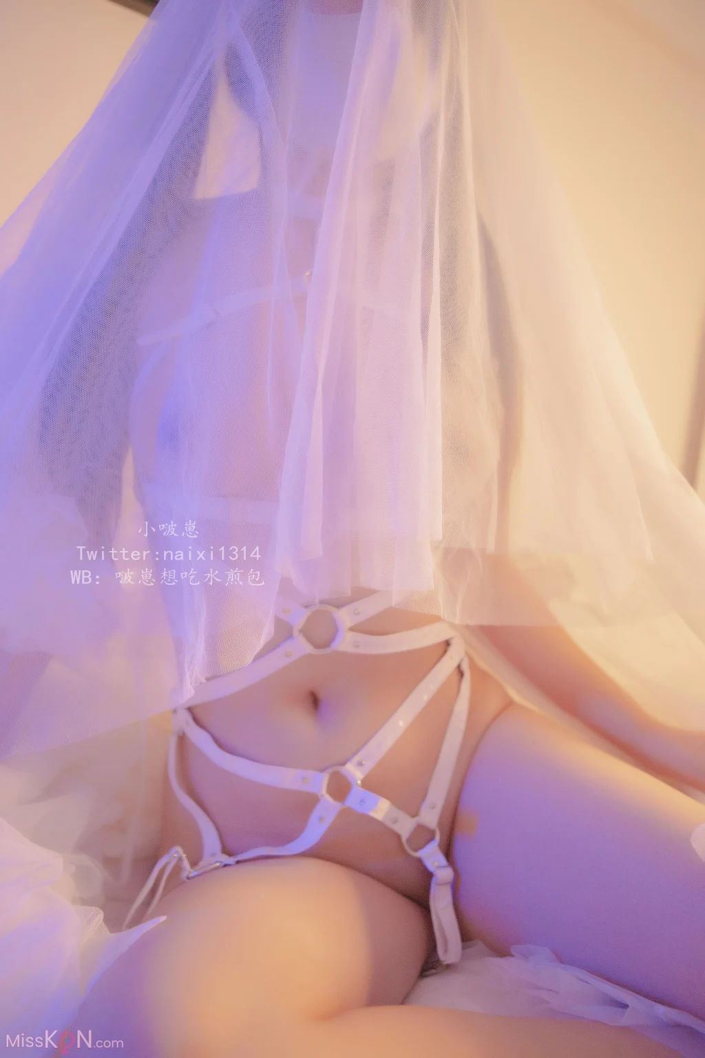 Coser@狍崽饭(NaiXiloli): 朦胧白 (46 photos)