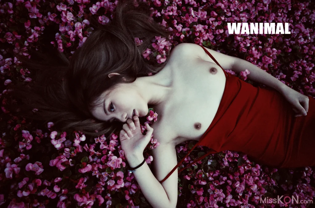 [OtherXXX] [WANIMAL王动] VIP套图 官方出品 No.11 (238 photos + 3 videos)