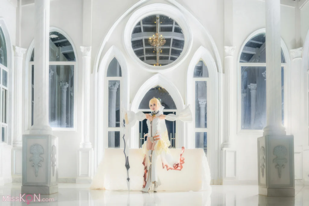 Coser@Momoko葵葵: FGO 尼禄 (13 photos)